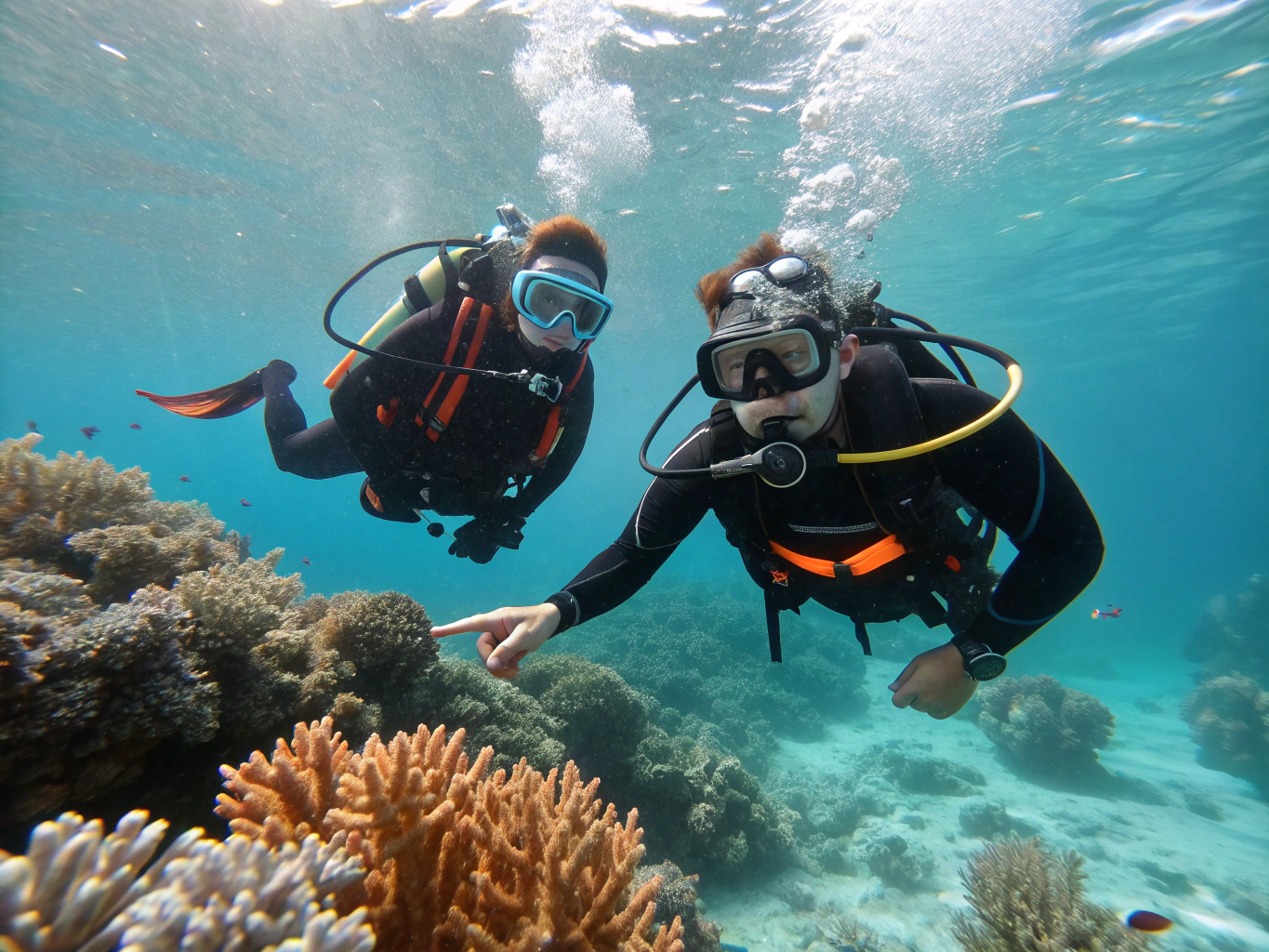 Scuba divers gliding with dolphins in Tiputa Pass Rangiroa
